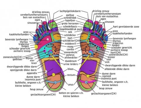 chinese-voetreflexmassage-rana-voetreflexmassage-dreischor-zierikzee-schouwen-duiveland